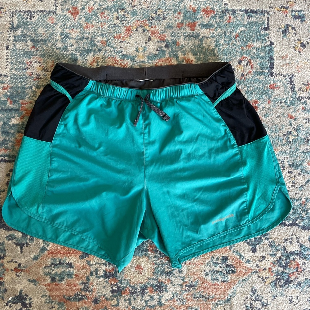 Teal Patagonia Shorts